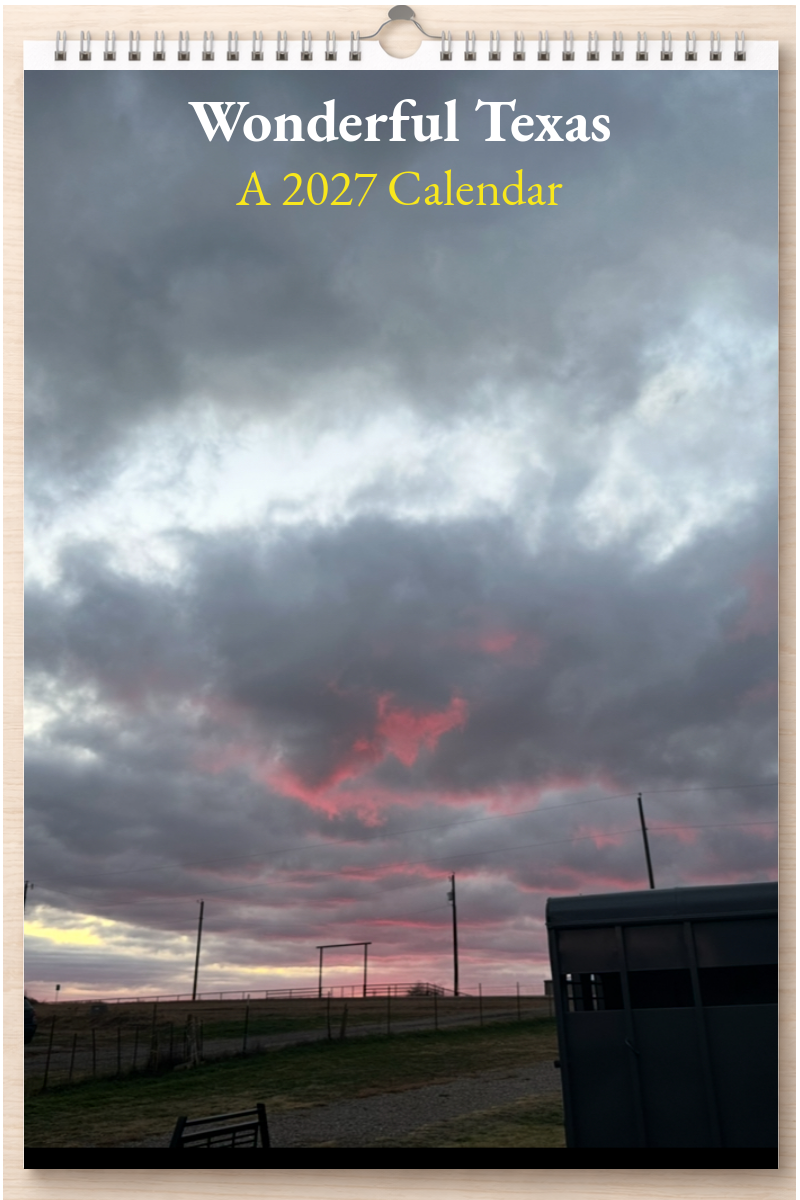 Wonderful Texas: A 2027 Calendar