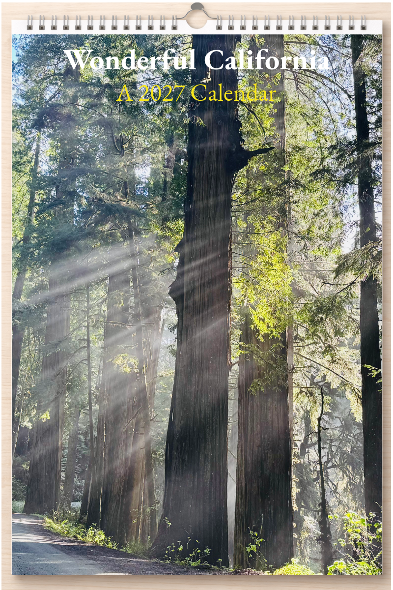 Wonderful California: A 2027 Calendar