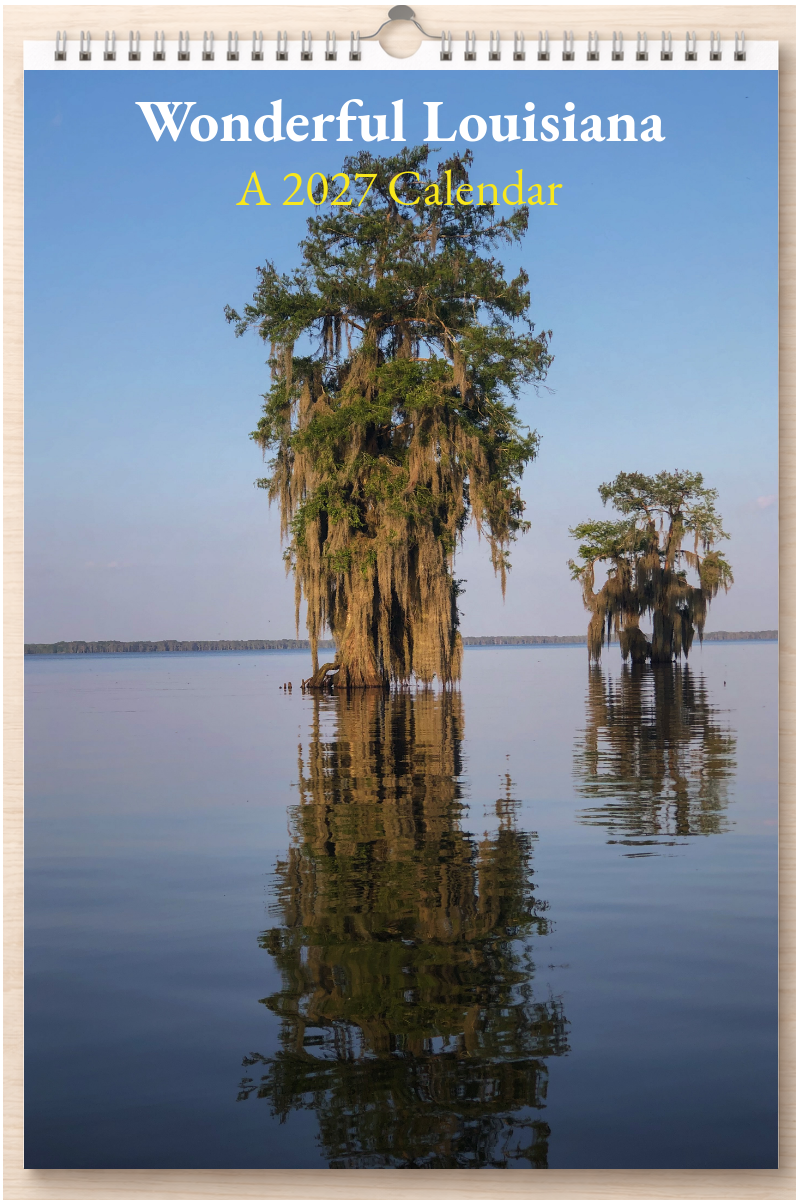 Wonderful Louisiana: A 2027 Calendar