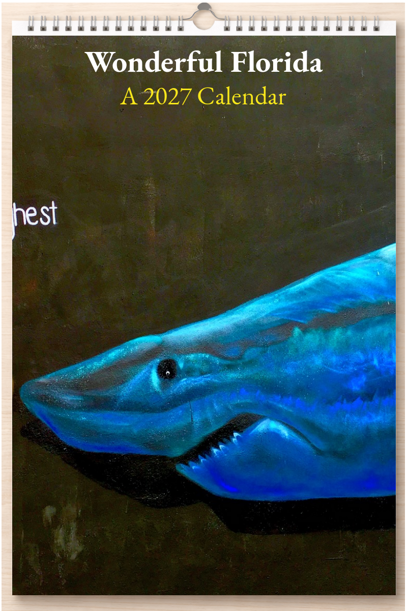 Wonderful Florida: A 2027 Calendar