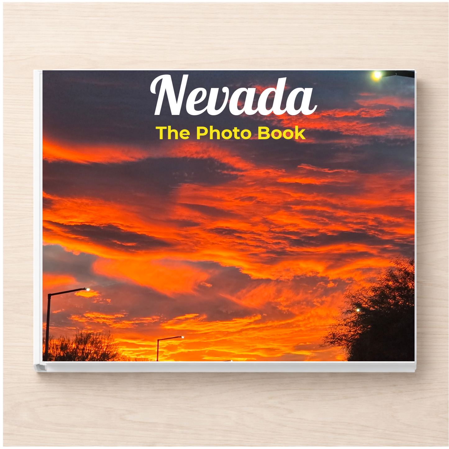 Nevada: The Photo Book