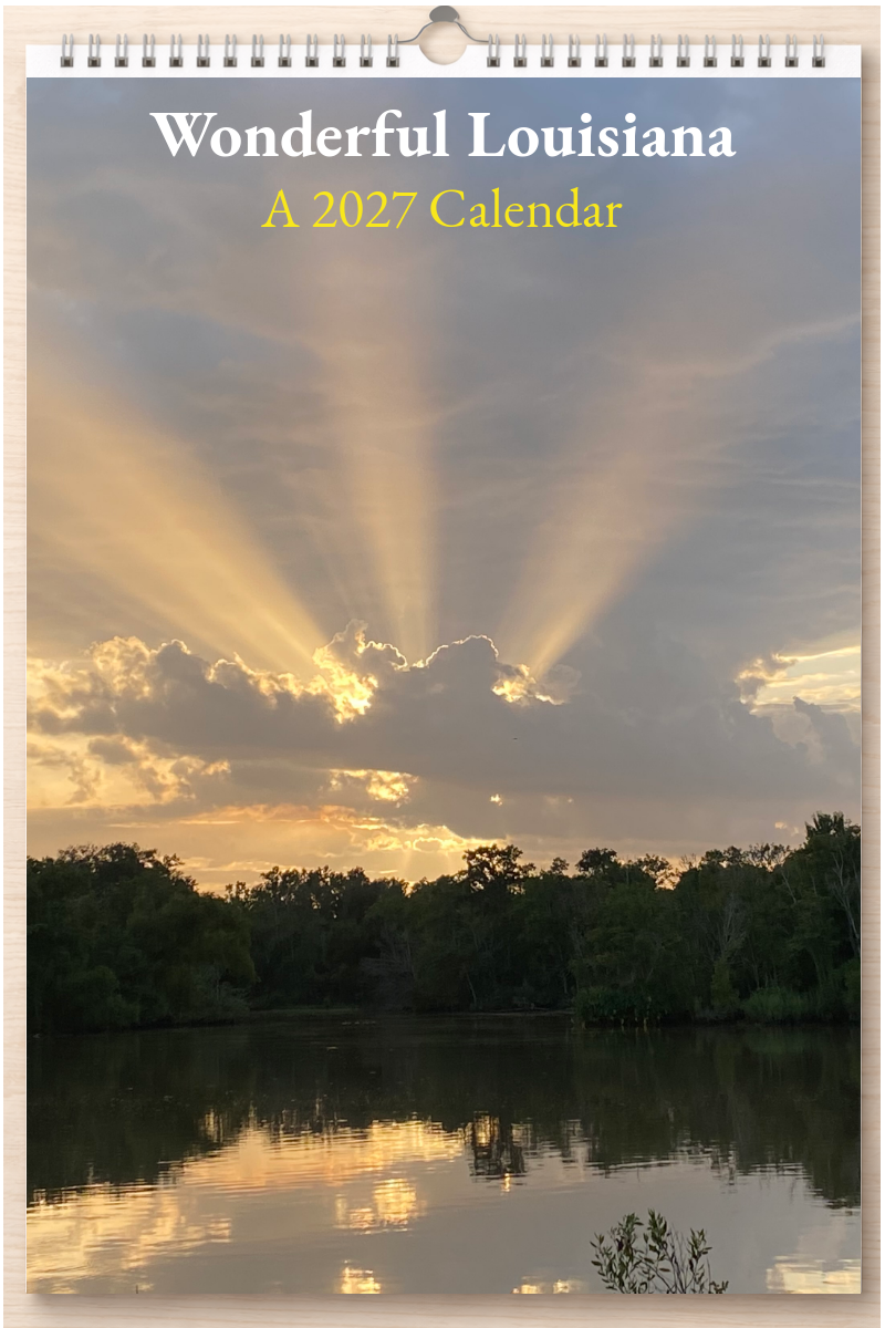 Wonderful Louisiana: A 2027 Calendar