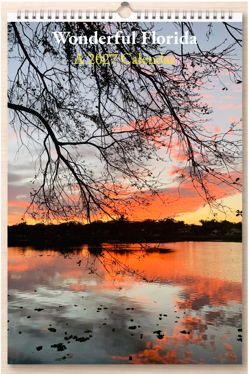 Wonderful Florida: A 2027 Calendar