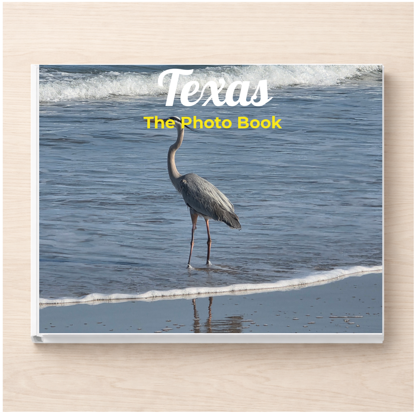 Texas: The Photo Book