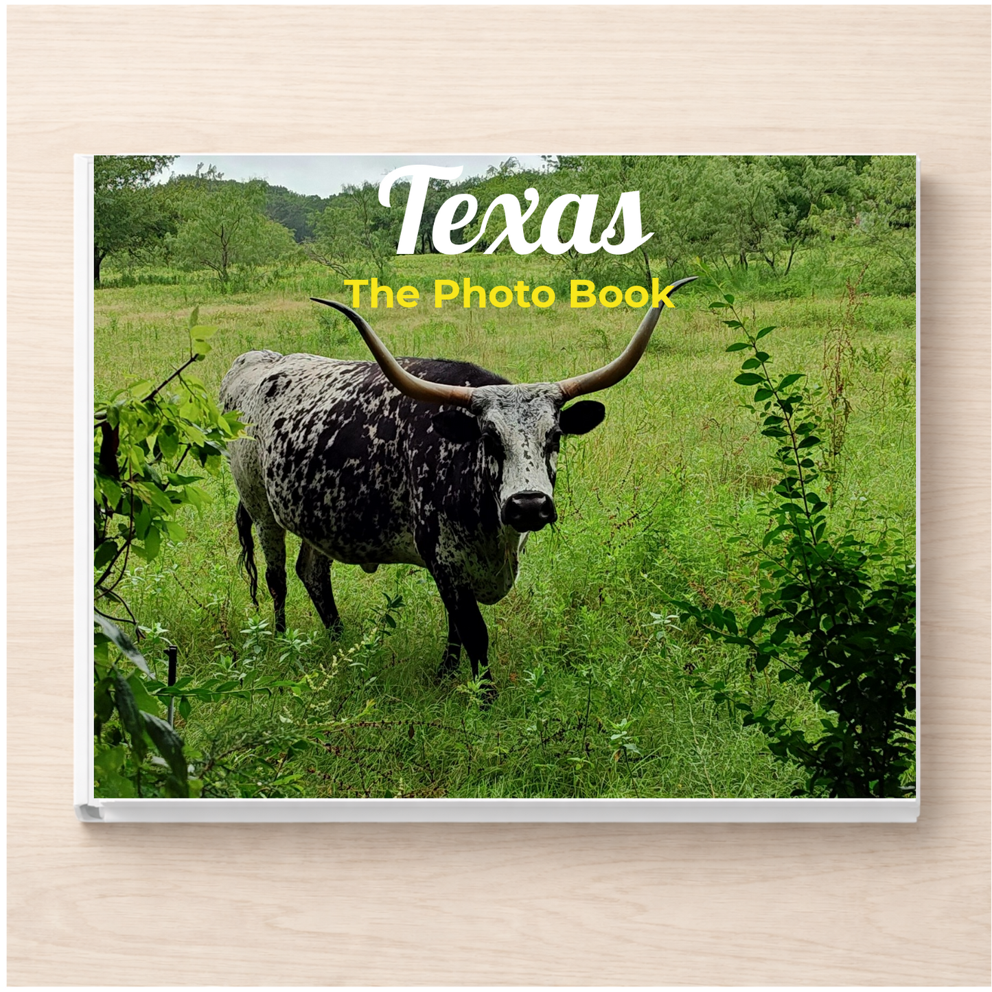 Texas: The Photo Book