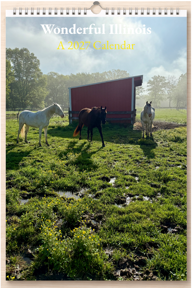 Wonderful Illinois: A 2027 Calendar