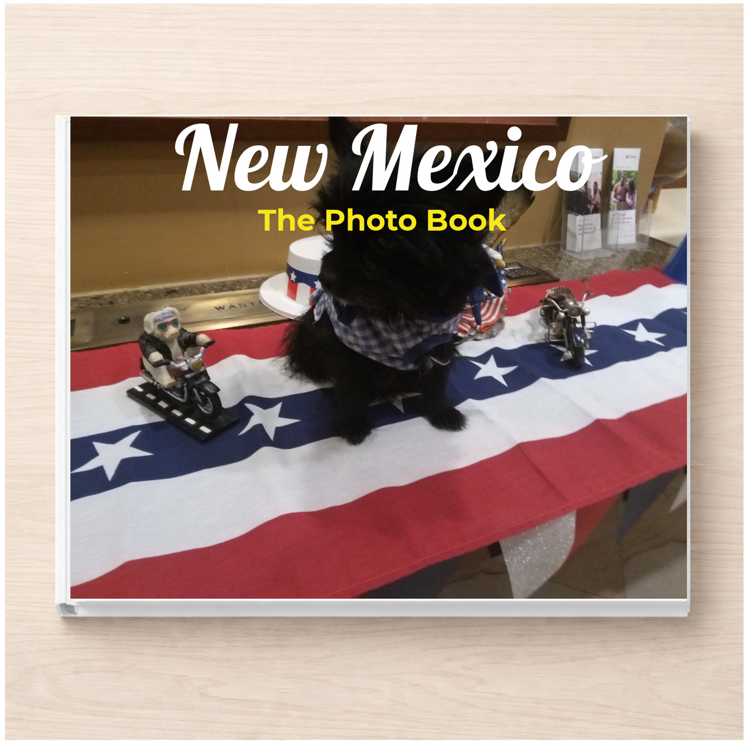 New Mexico: The Photo Book