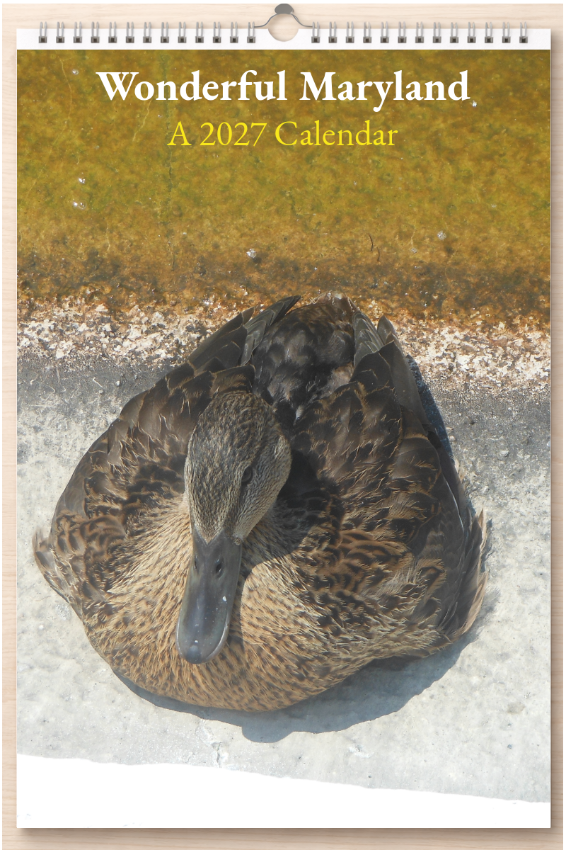 Wonderful Maryland: A 2027 Calendar