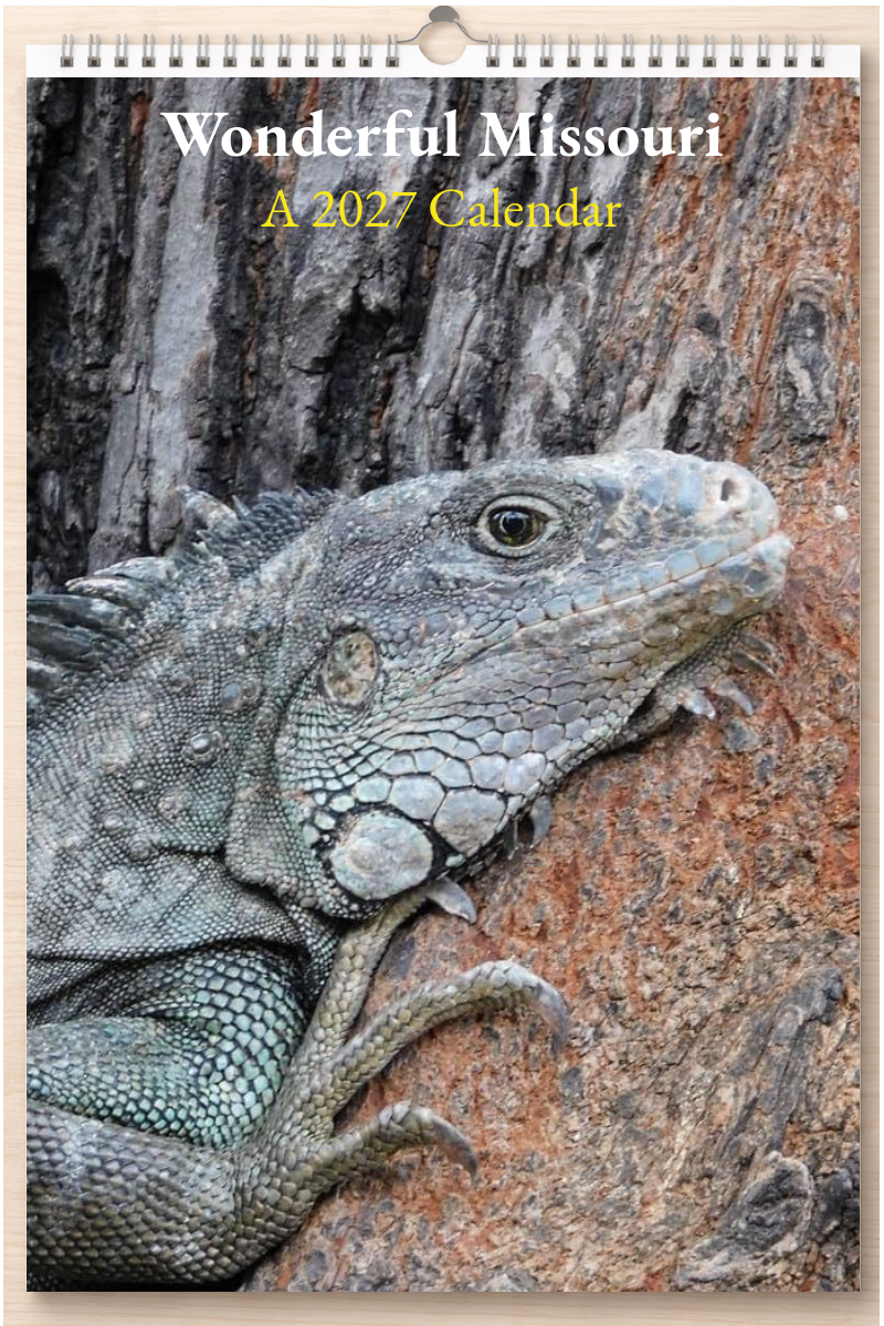Wonderful Missouri: A 2027 Calendar