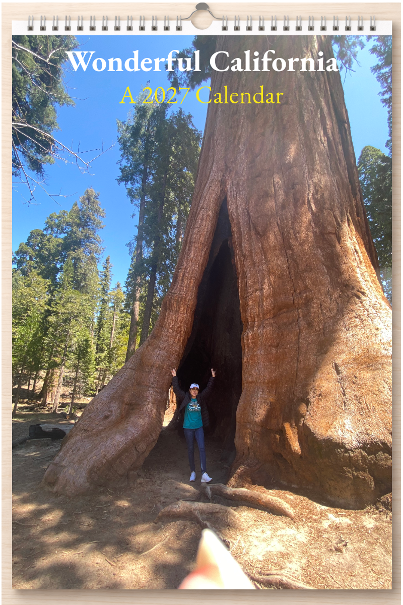 Wonderful California: A 2027 Calendar