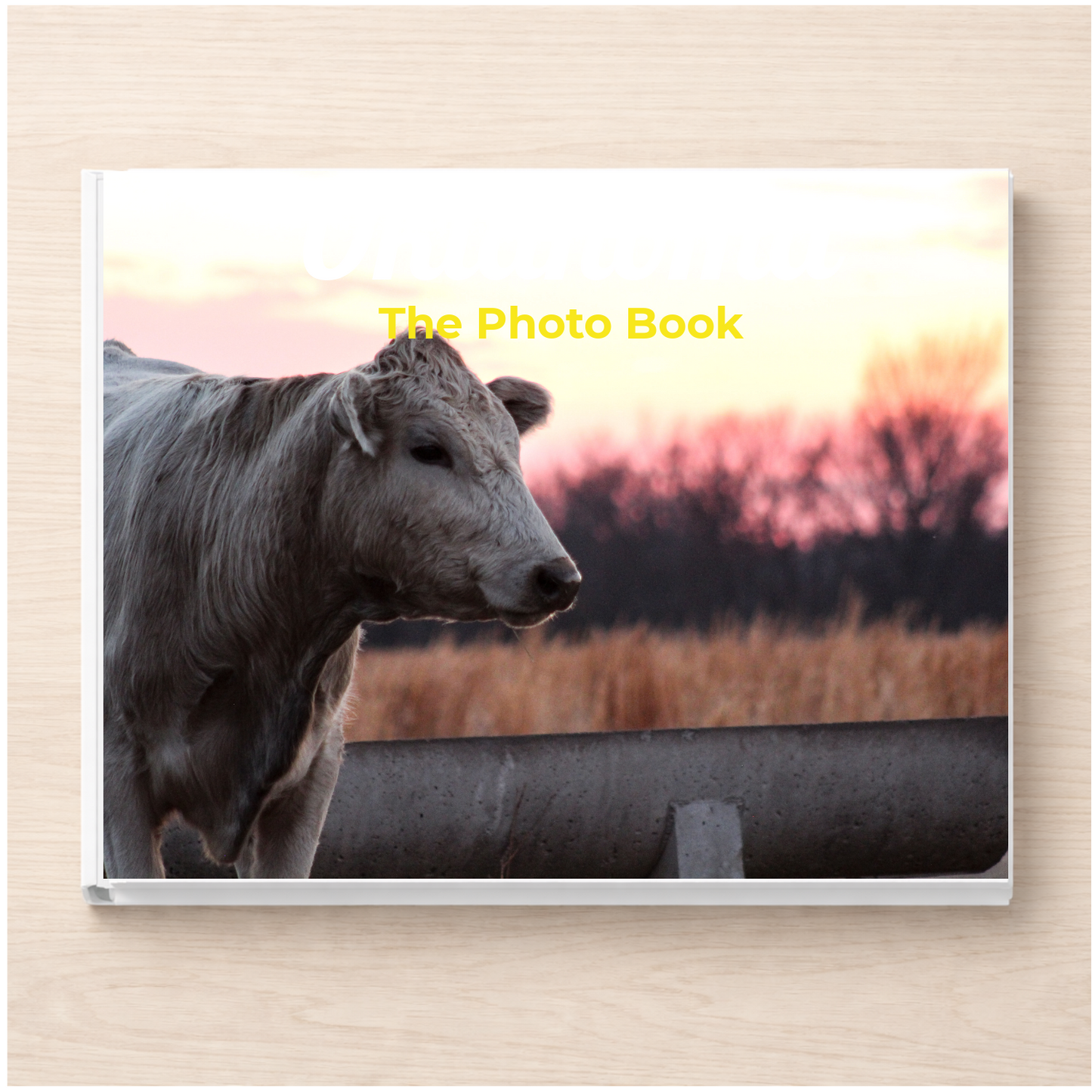 Oklahoma: The Photo Book