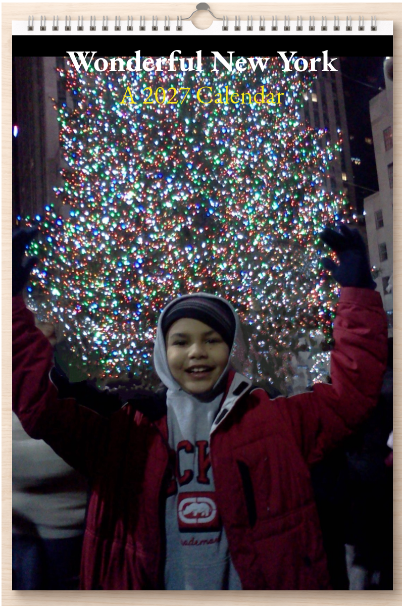 Wonderful New York: A 2027 Calendar