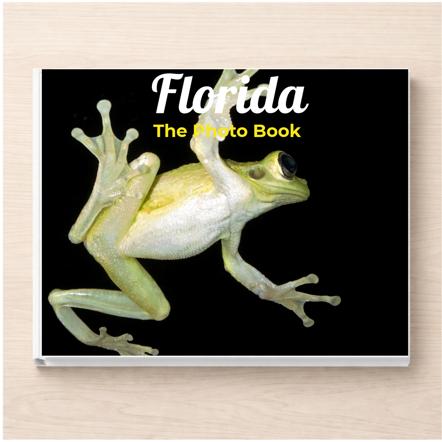 Florida: The Photo Book