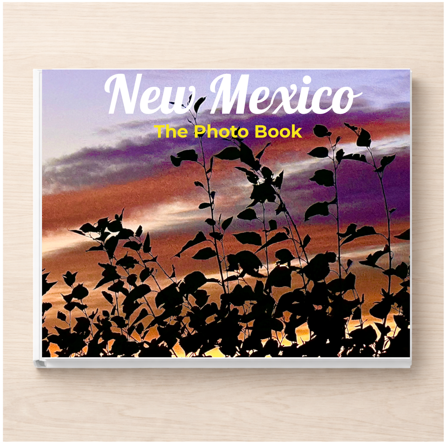 New Mexico: The Photo Book
