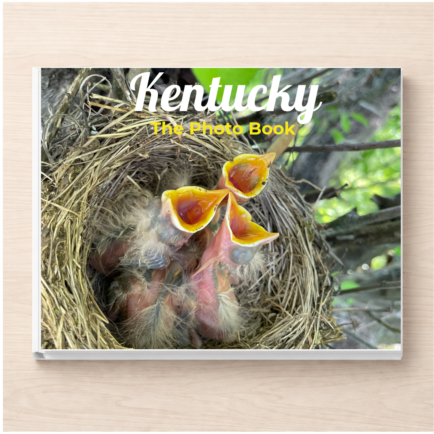 Kentucky: The Photo Book