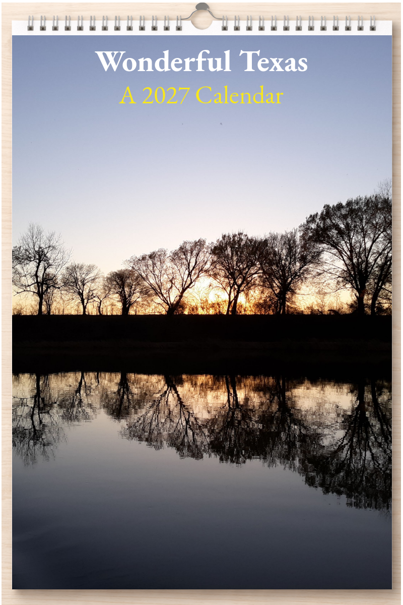 Wonderful Texas: A 2027 Calendar