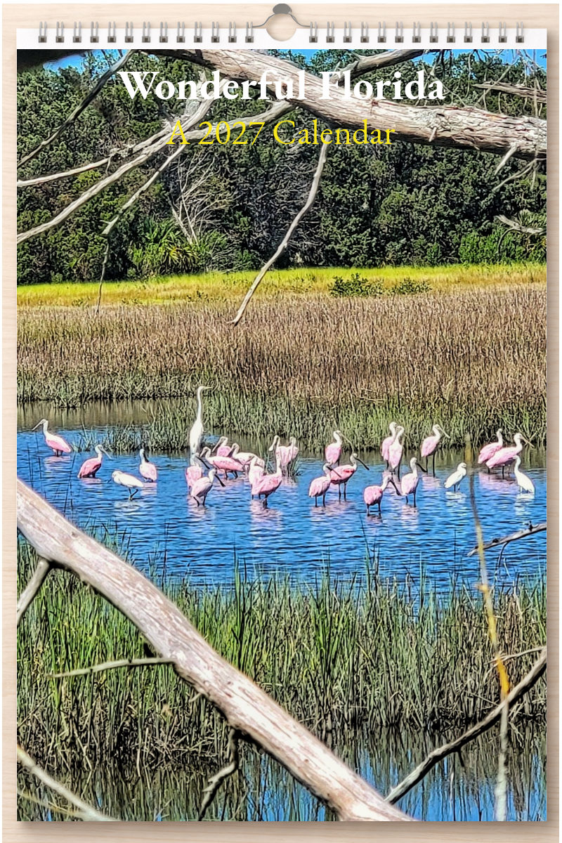 Wonderful Florida: A 2027 Calendar