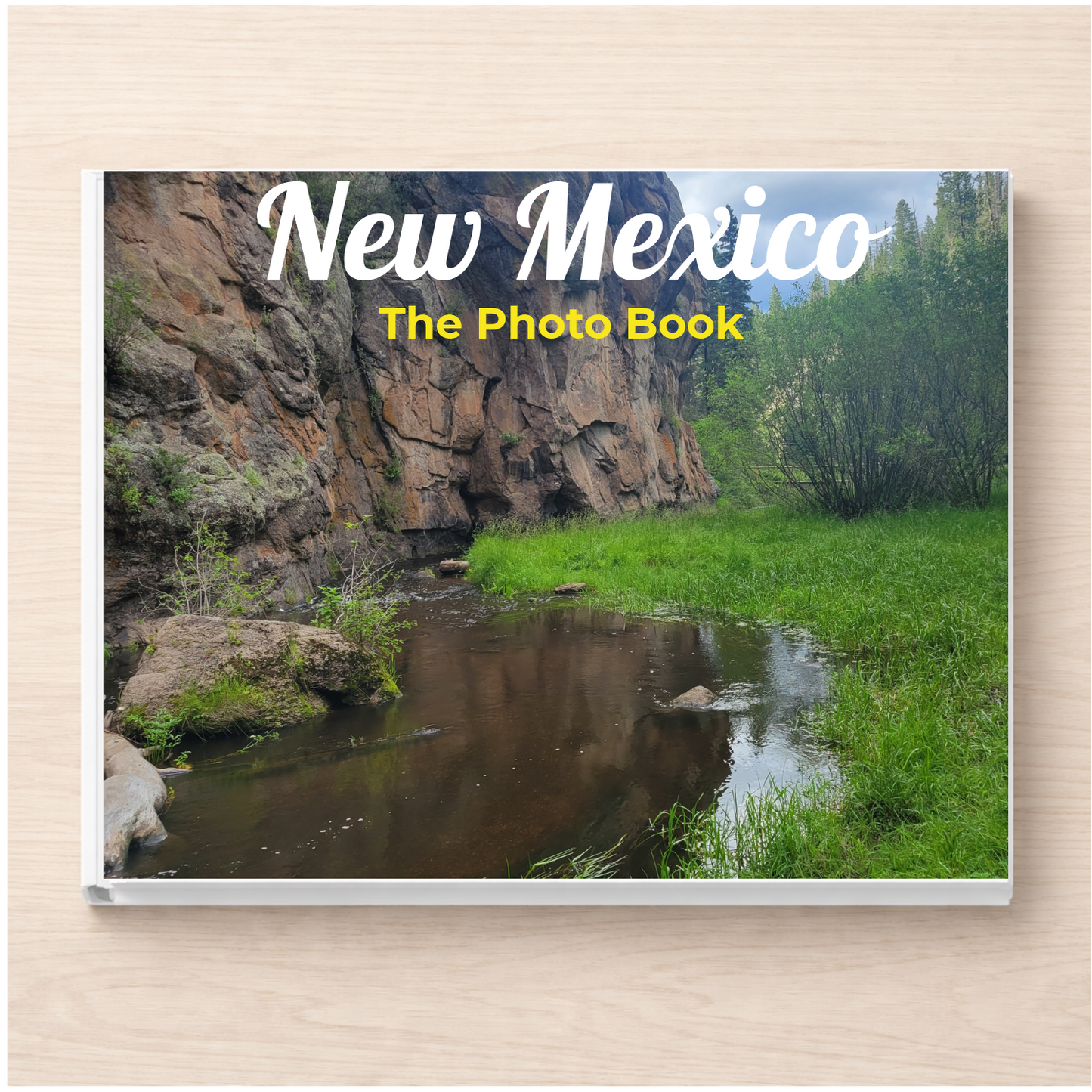New Mexico: The Photo Book