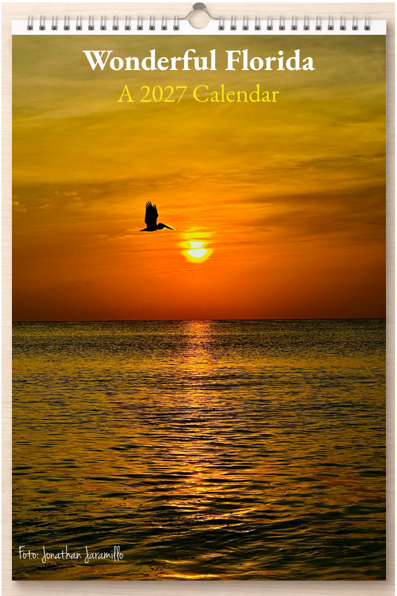 Wonderful Florida: A 2027 Calendar