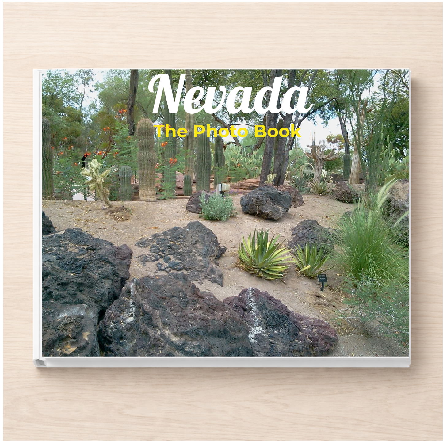 Nevada: The Photo Book
