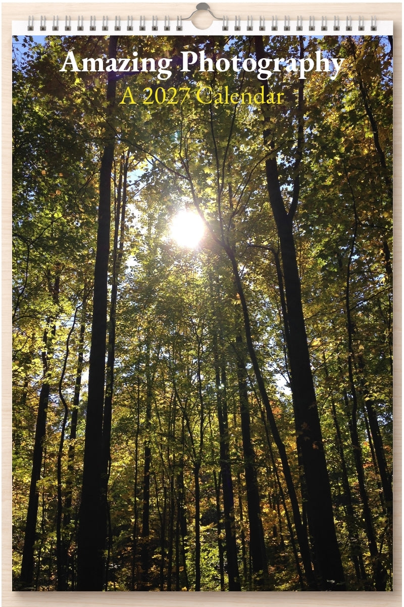 Amazing Photography: A 2027 Calendar