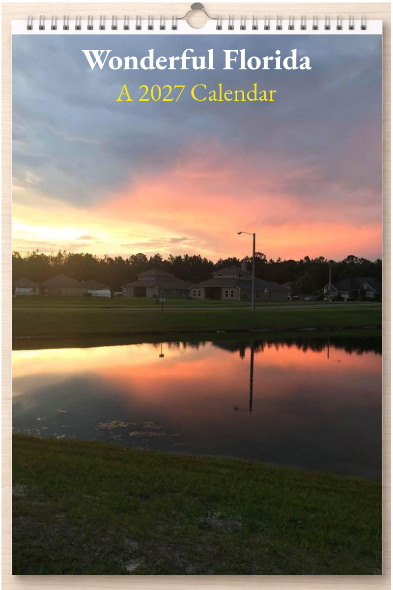 Wonderful Florida: A 2027 Calendar