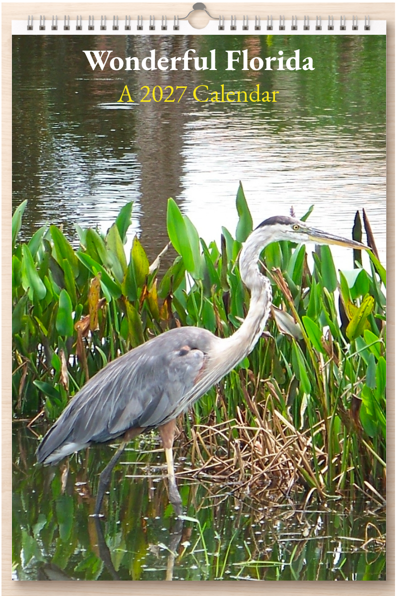 Wonderful Florida: A 2027 Calendar