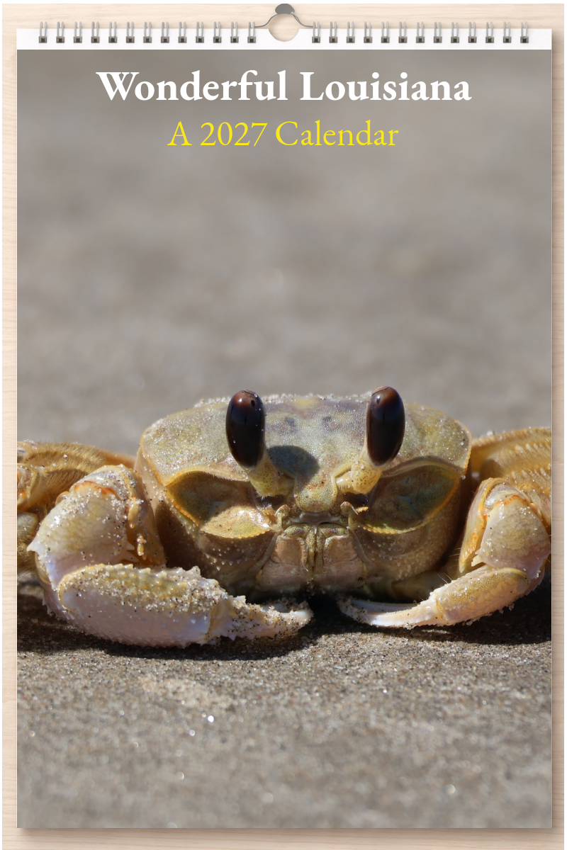 Wonderful Louisiana: A 2027 Calendar