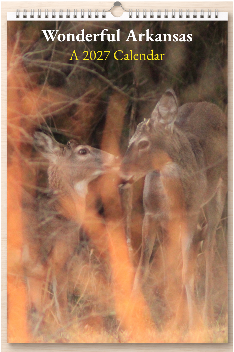 Wonderful Arkansas: A 2027 Calendar