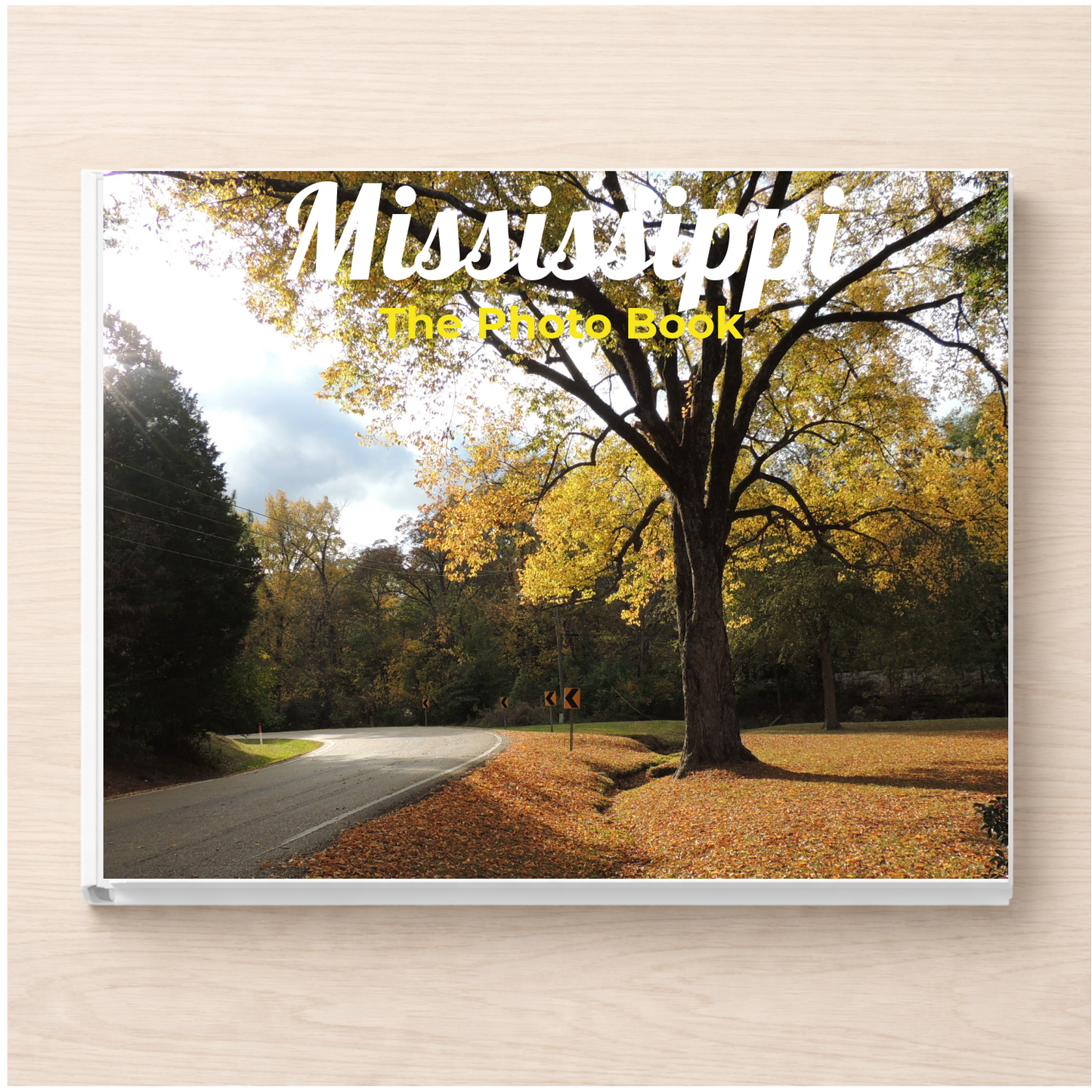 Mississippi: The Photo Book