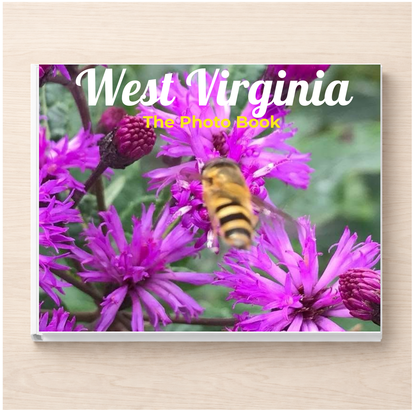 West Virginia: The Photo Book