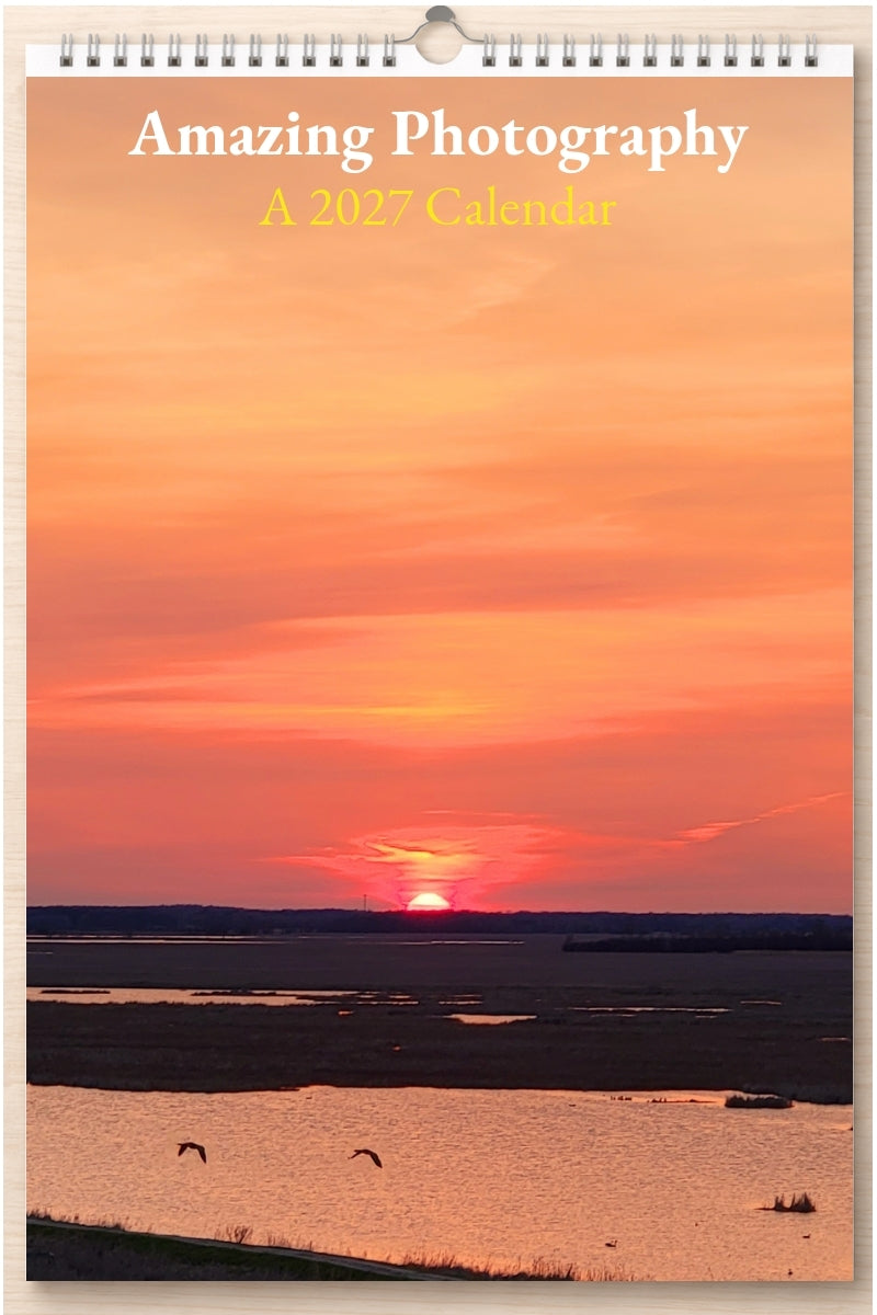 Amazing Photography: A 2027 Calendar