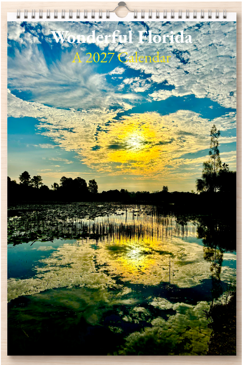 Wonderful Florida: A 2027 Calendar