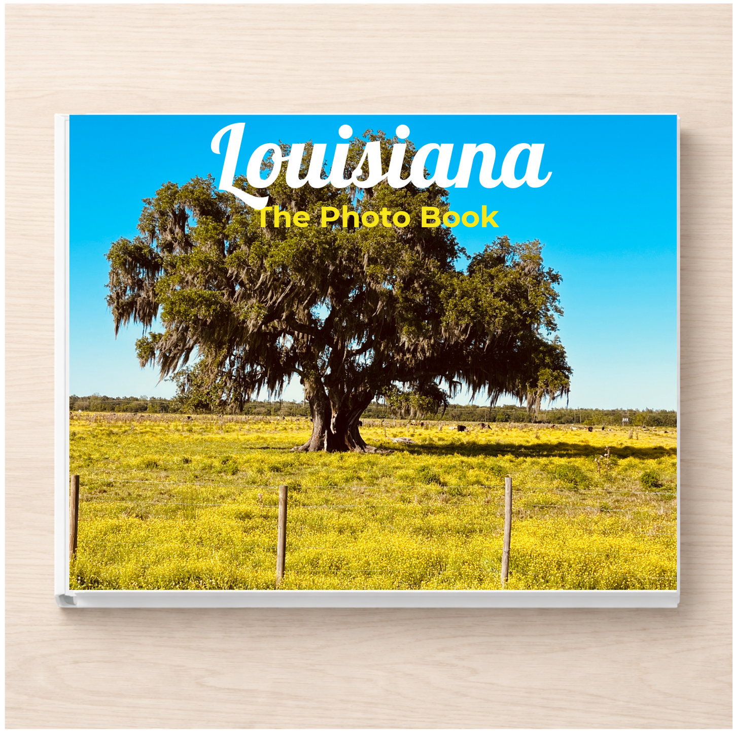 Louisiana: The Photo Book