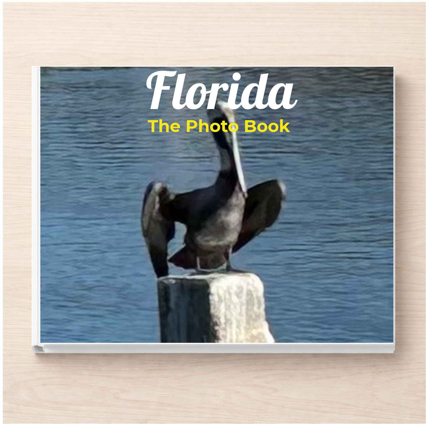 Florida: The Photo Book