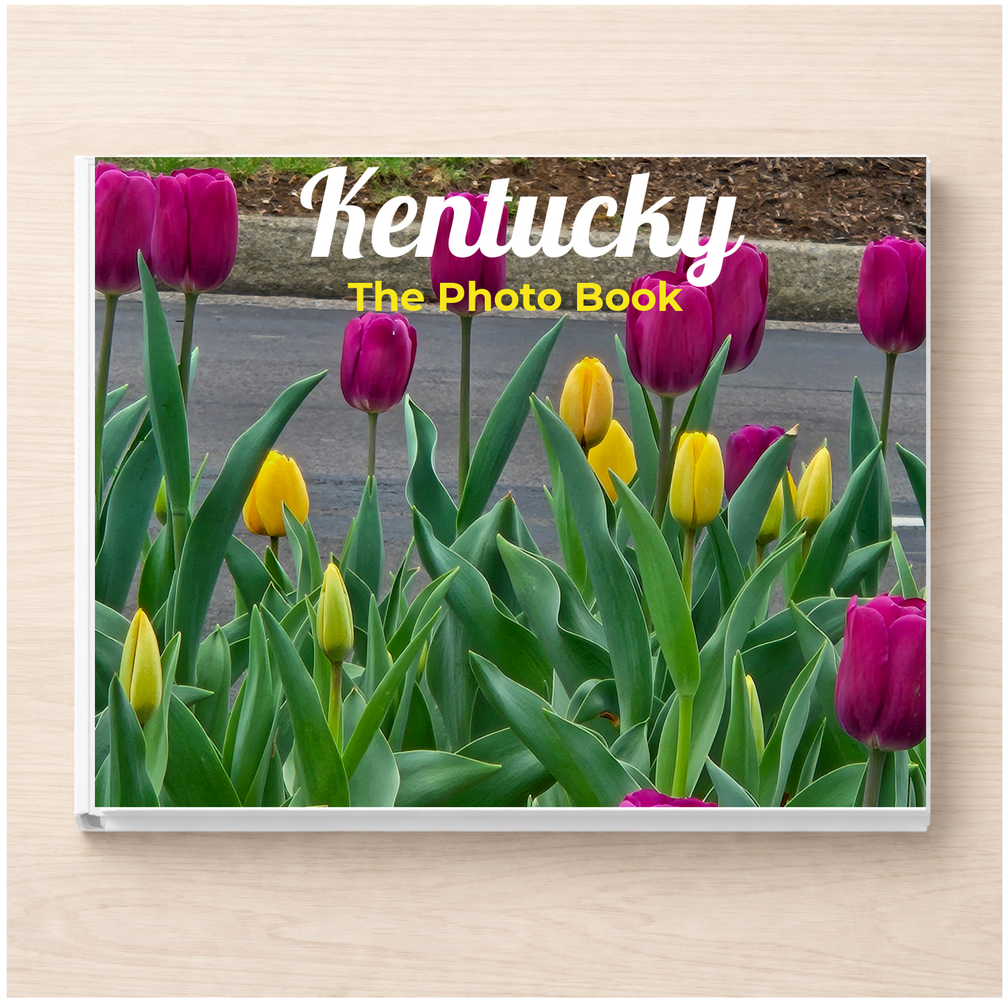 Kentucky: The Photo Book