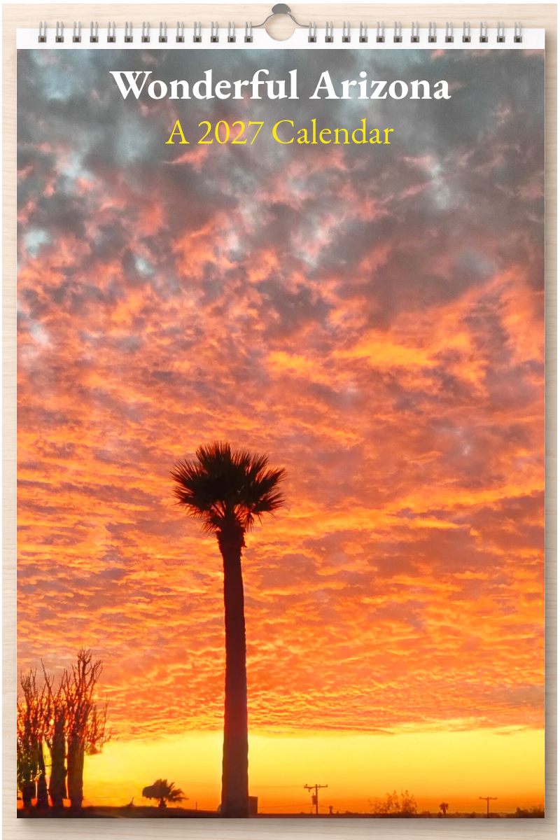 Wonderful Arizona: A 2027 Calendar