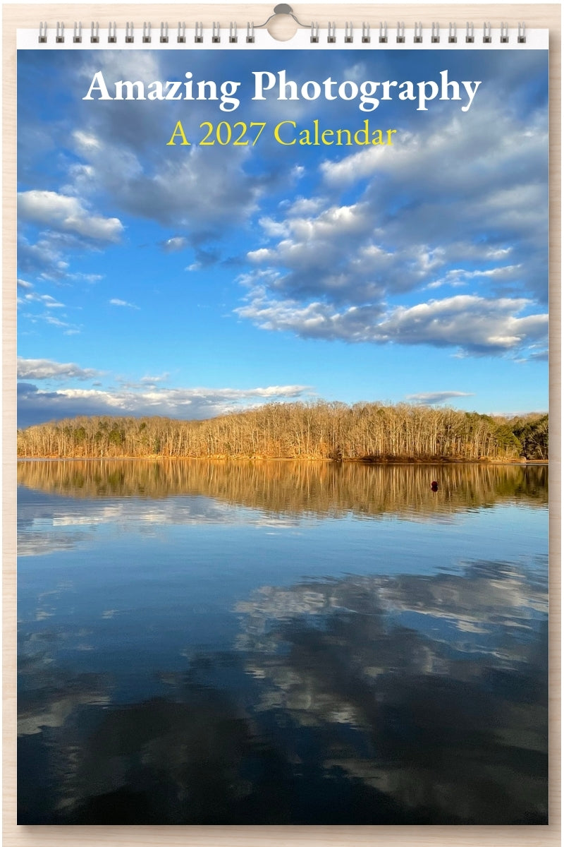 Amazing Photography: A 2027 Calendar