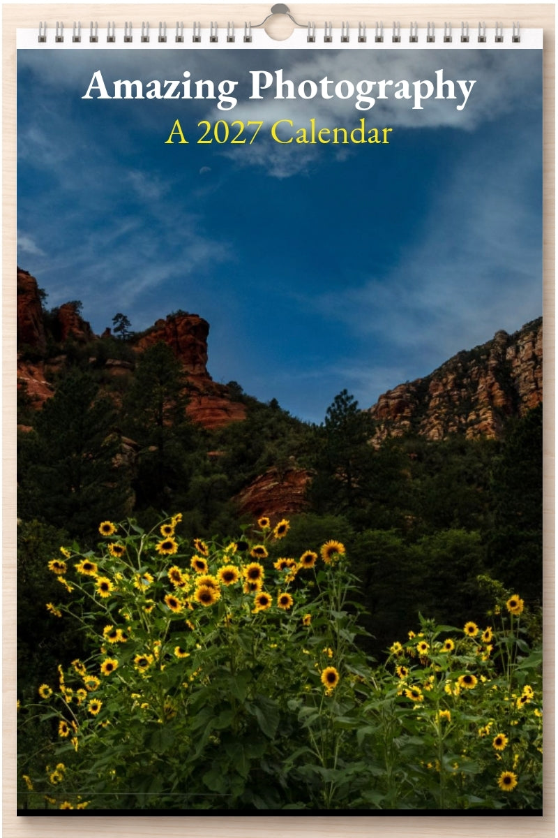 Amazing Photography: A 2027 Calendar