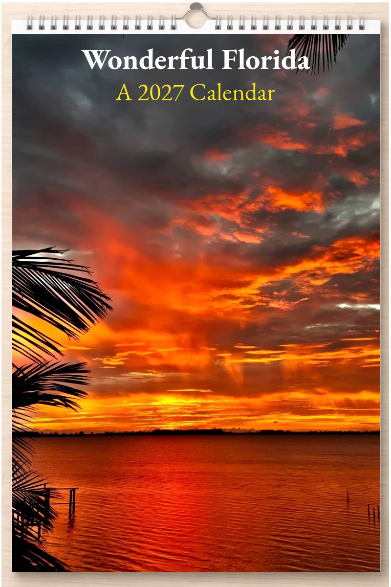 Wonderful Florida: A 2027 Calendar