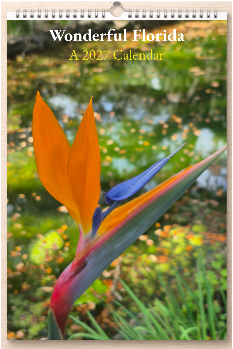 Wonderful Florida: A 2027 Calendar