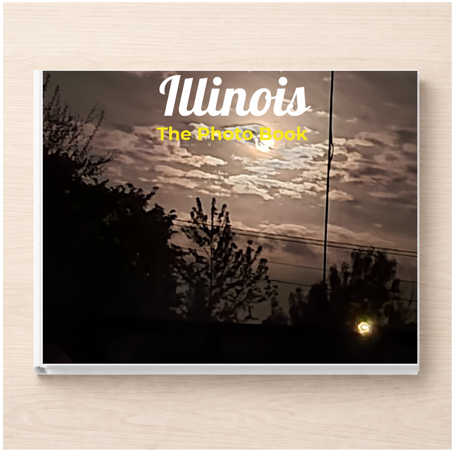 Illinois: The Photo Book