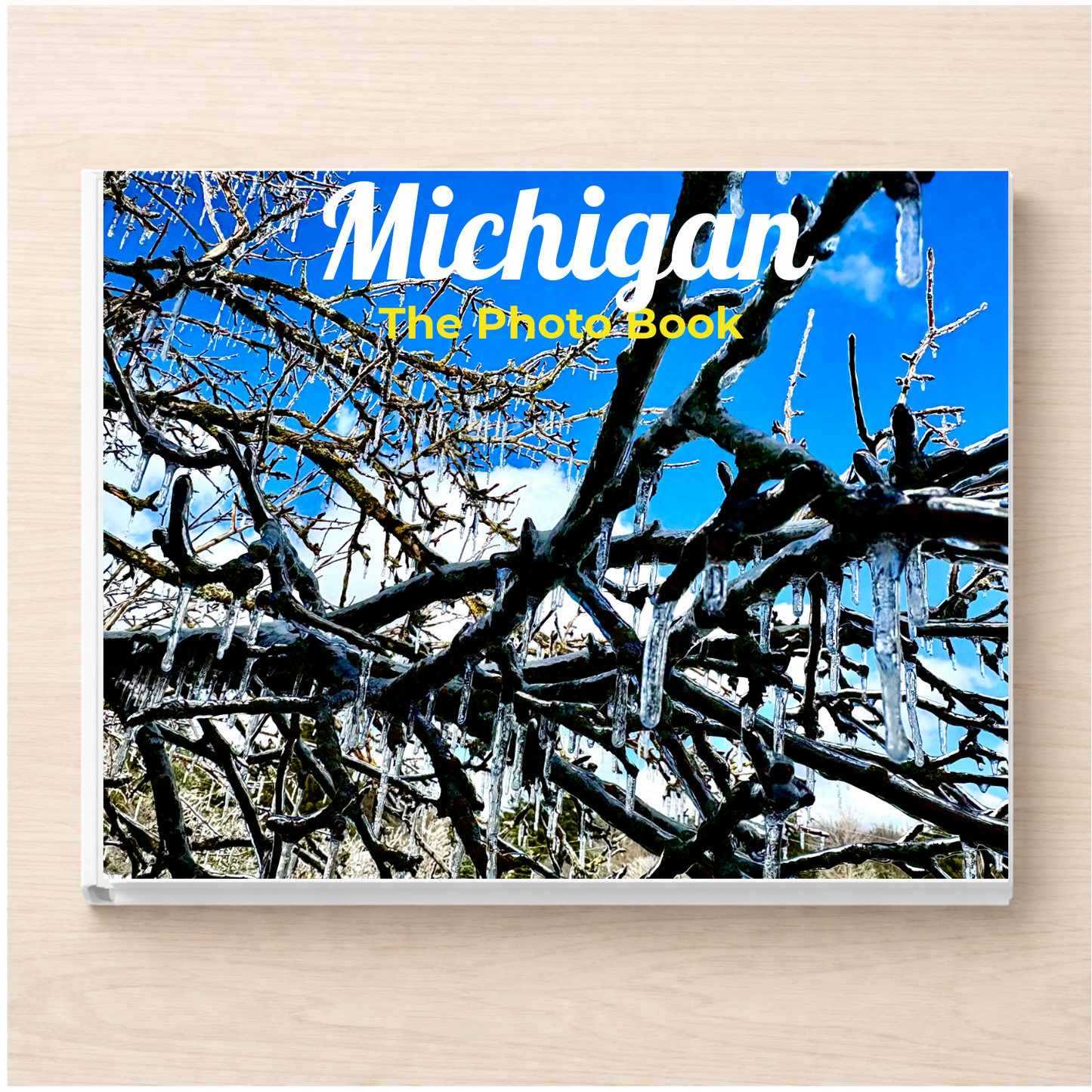Michigan: The Photo Book