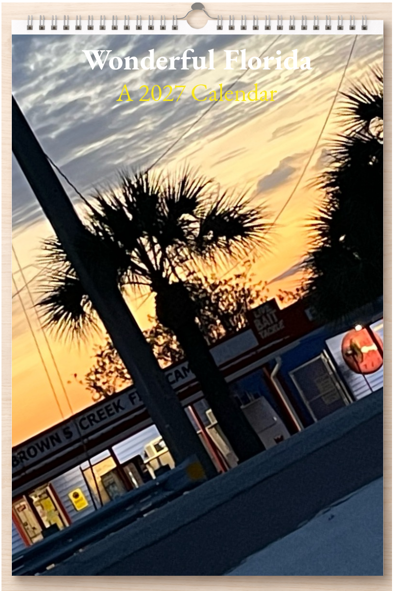 Wonderful Florida: A 2027 Calendar
