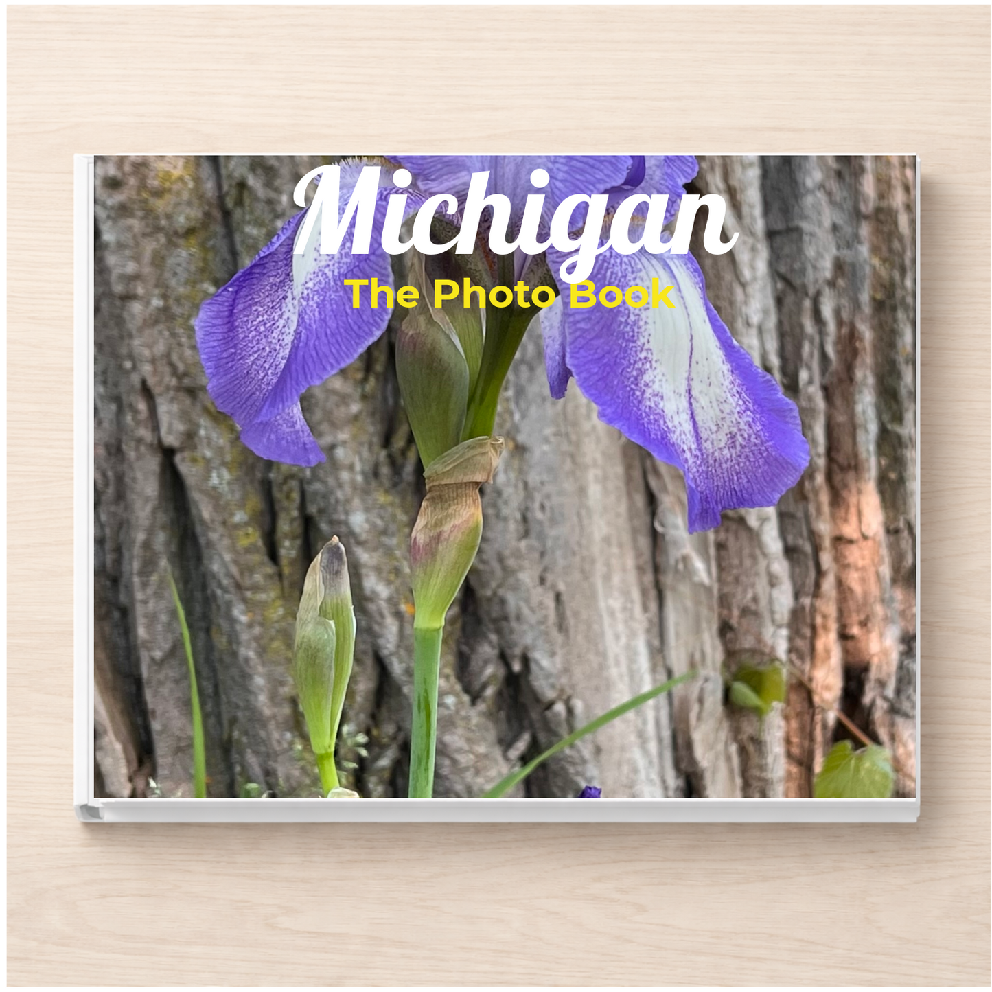 Michigan: The Photo Book