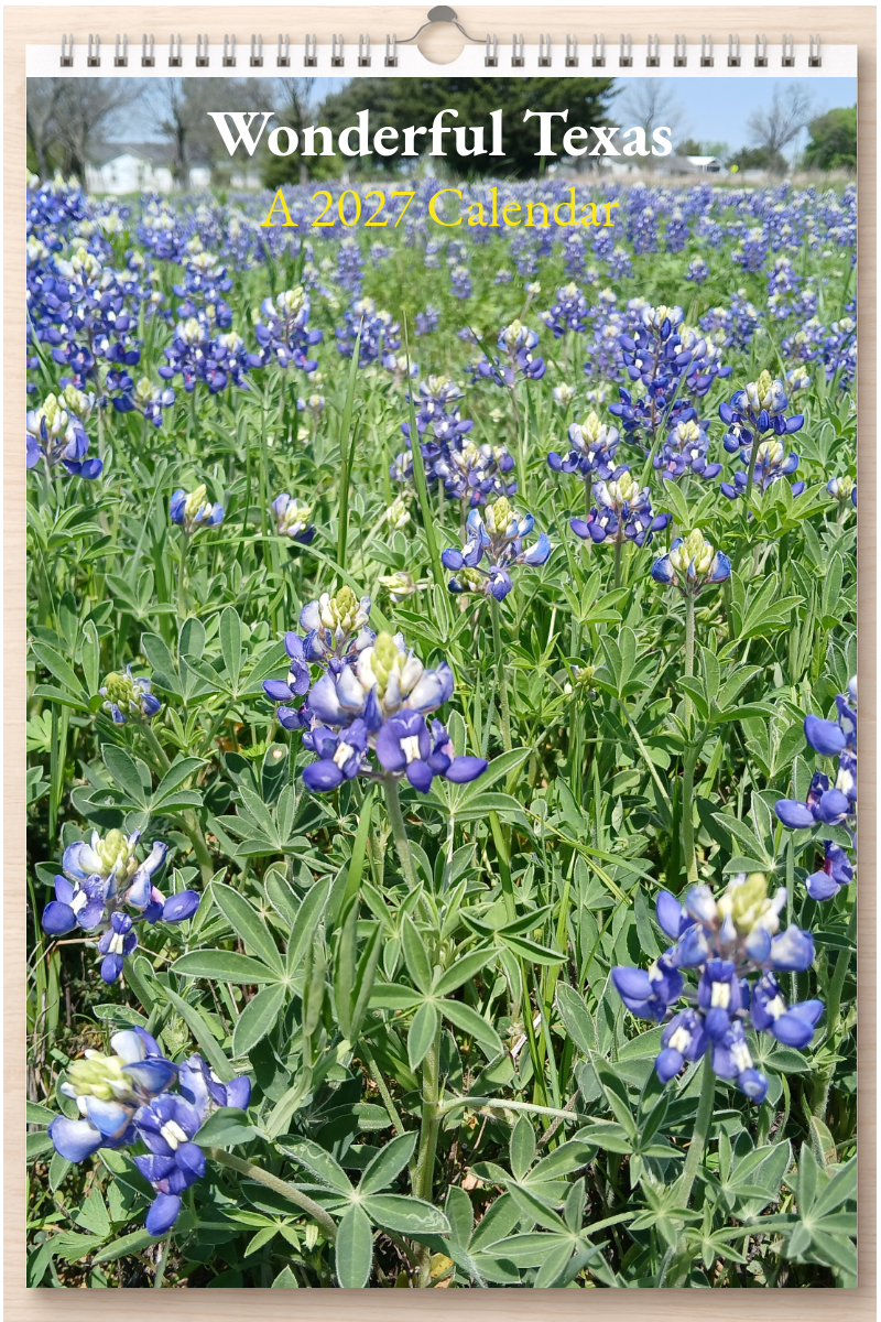 Wonderful Texas: A 2027 Calendar