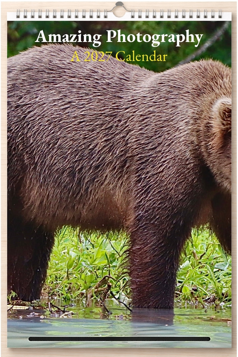 Amazing Photography: A 2027 Calendar
