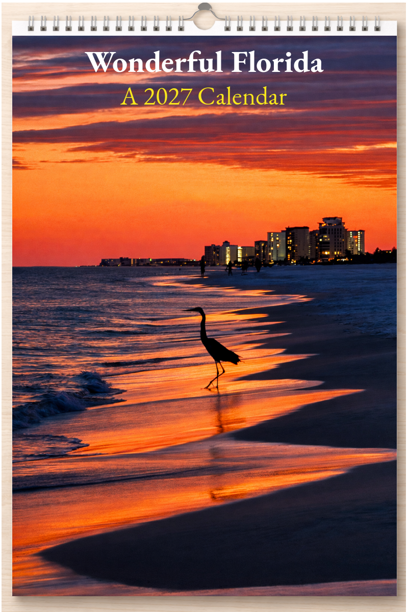 Wonderful Florida: A 2027 Calendar
