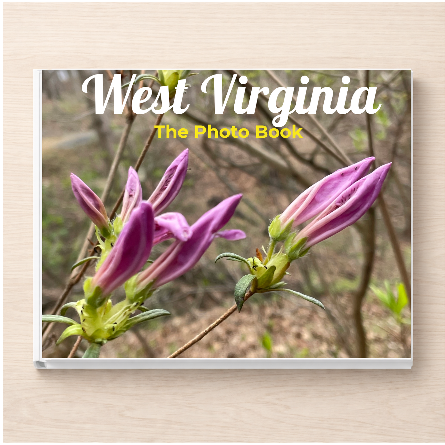 West Virginia: The Photo Book
