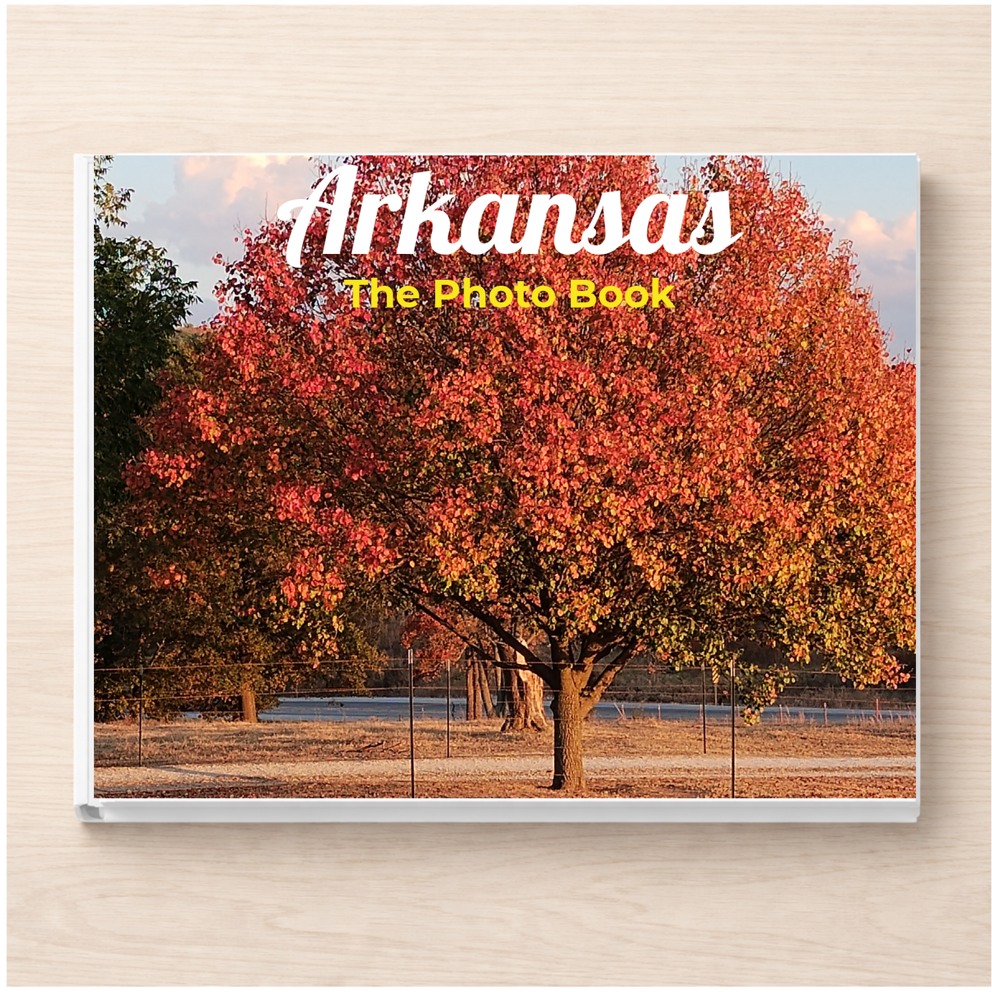 Arkansas: The Photo Book